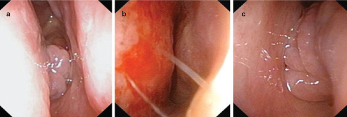 FIG. 3. a–c.