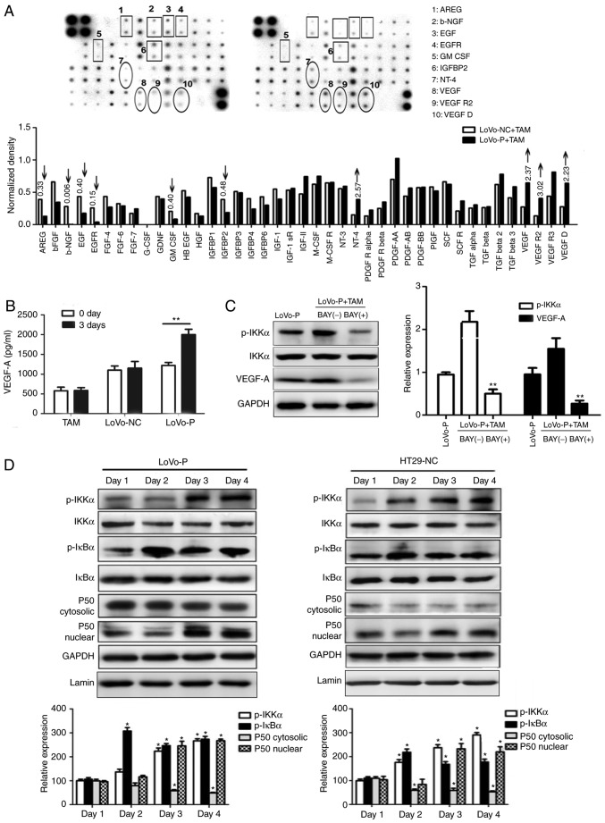 Figure 6.