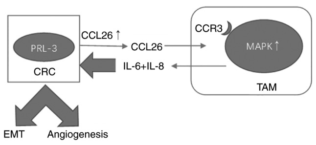 Figure 9.