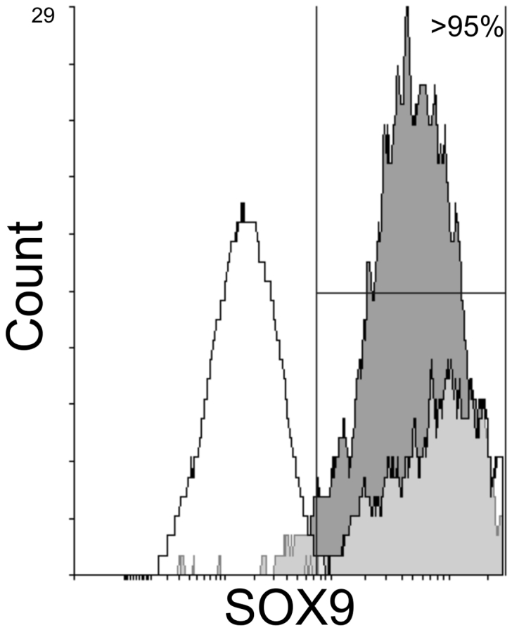 Supplementary Fig. S2