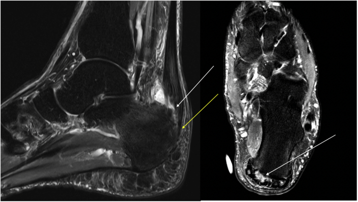 Fig. 8