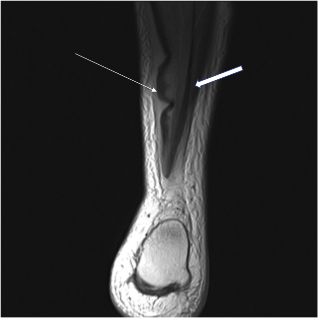 Fig. 7