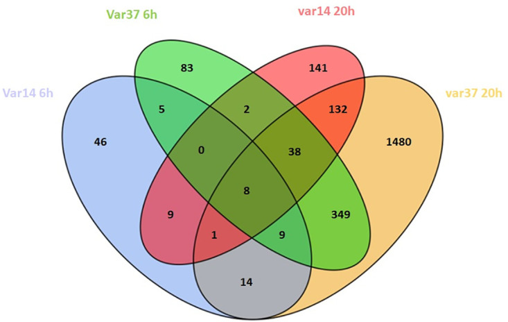 Fig 10