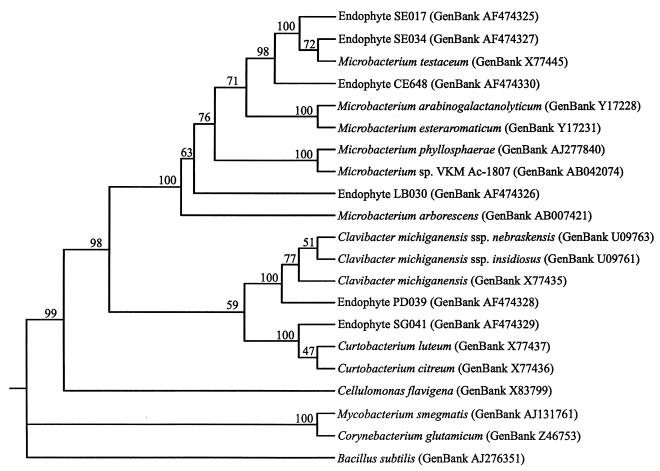 FIG. 2.