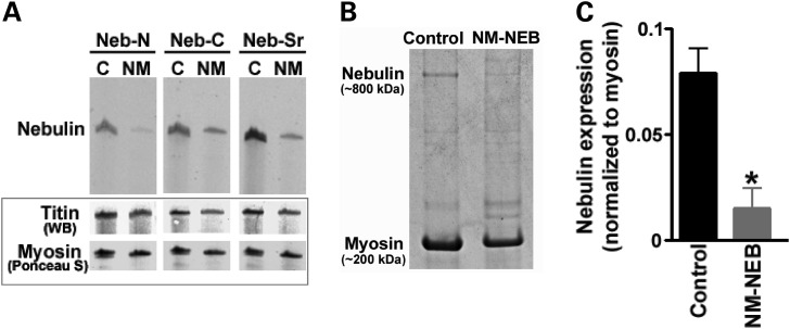 Figure 2.