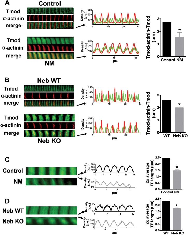 Figure 4.