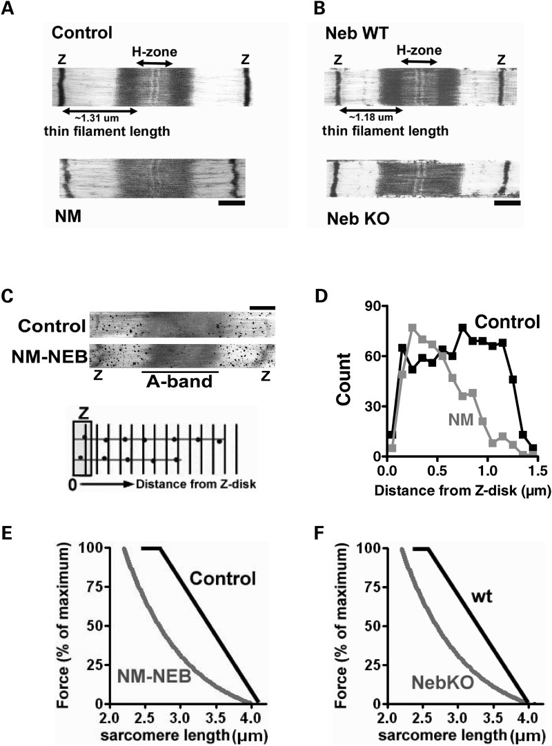 Figure 5.