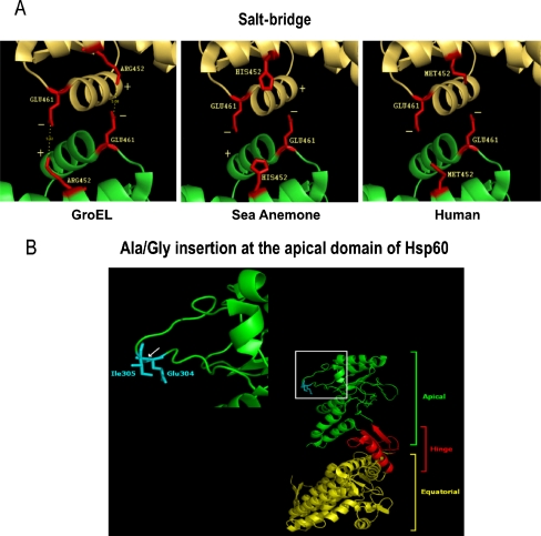 Fig. 4