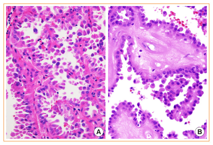 Fig. 9