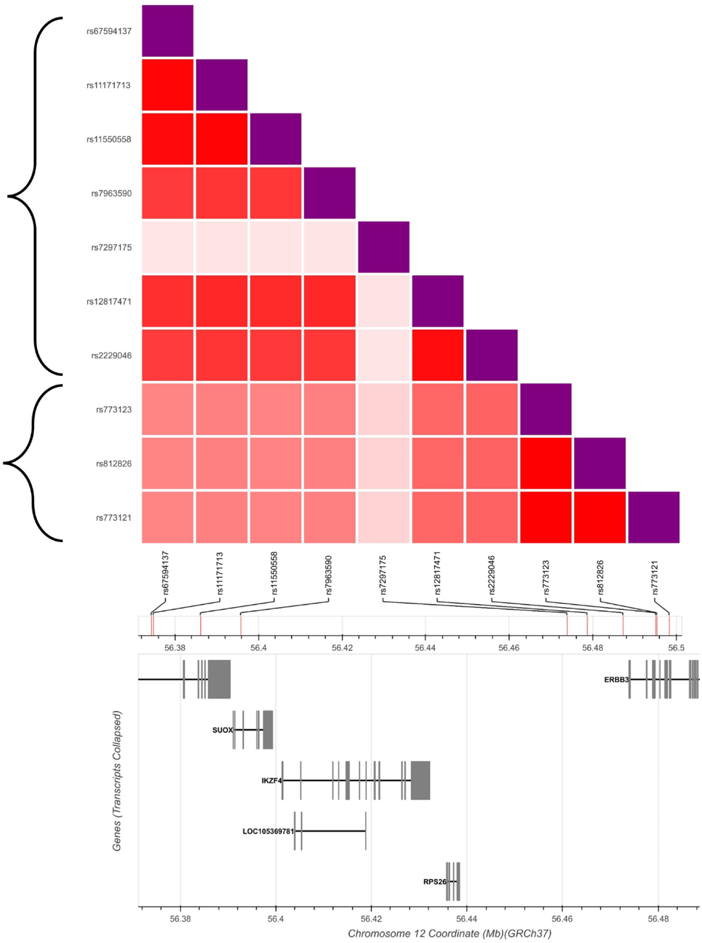 Fig 1.