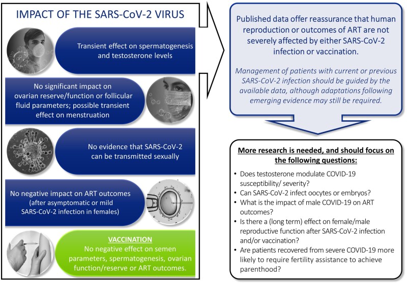 Graphical Abstract