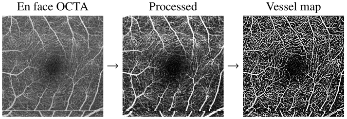 Fig. 7.