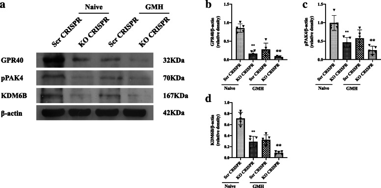 Fig. 10