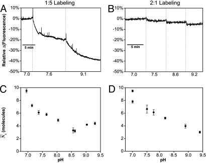 Fig. 6.