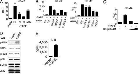 FIGURE 2.