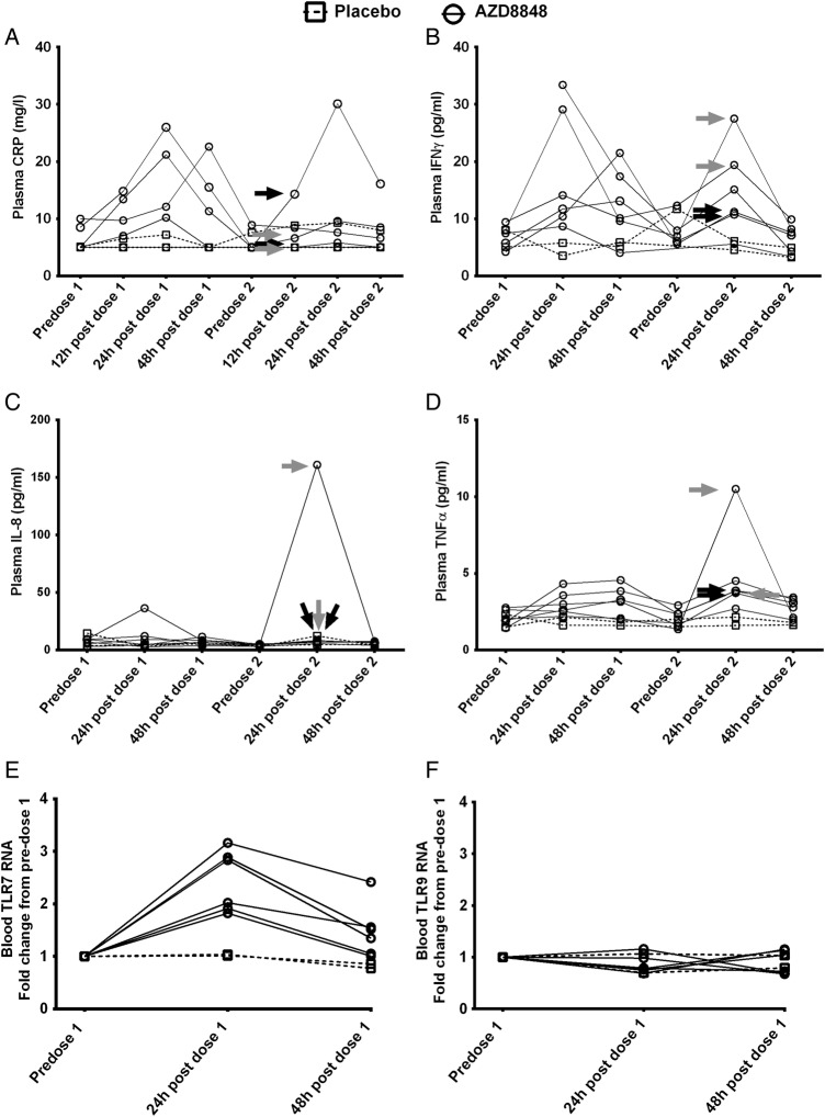 Figure 5