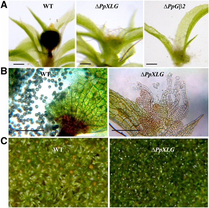 Figure 3.