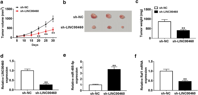 Fig. 7