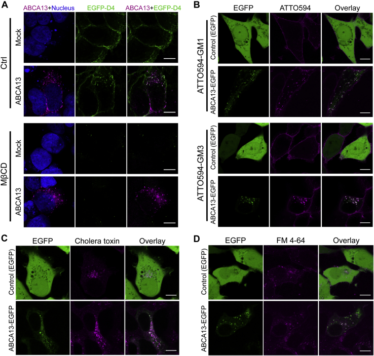 Figure 3