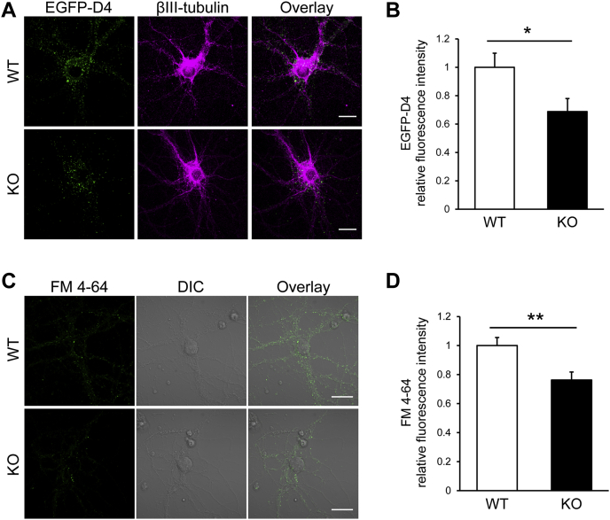 Figure 6