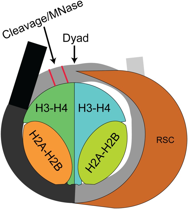 Figure 6.