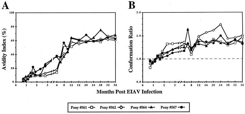 FIG. 6