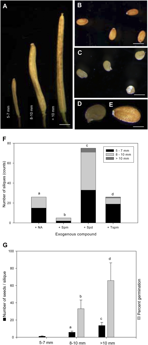 Figure 10.