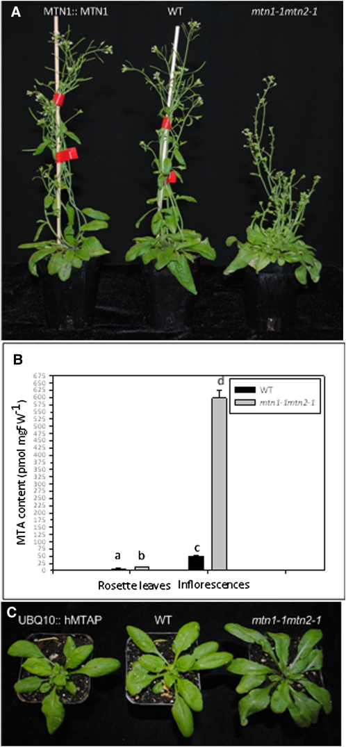 Figure 6.