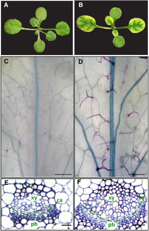 Figure 3.