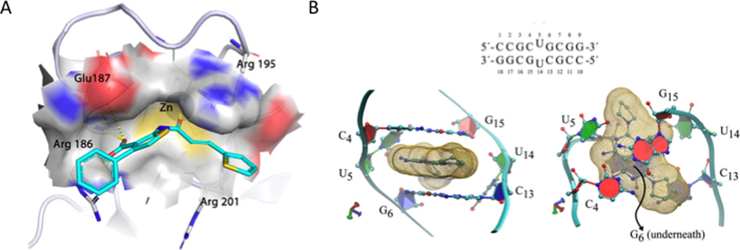 Fig. 7