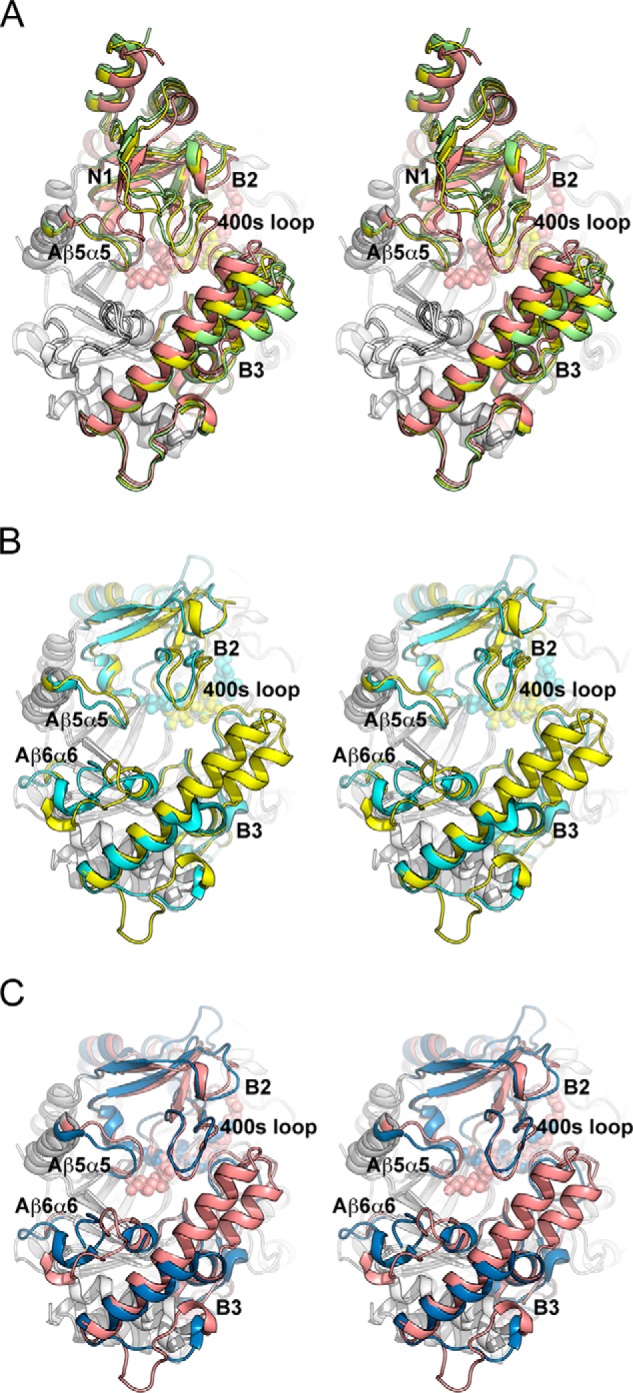 FIGURE 4.