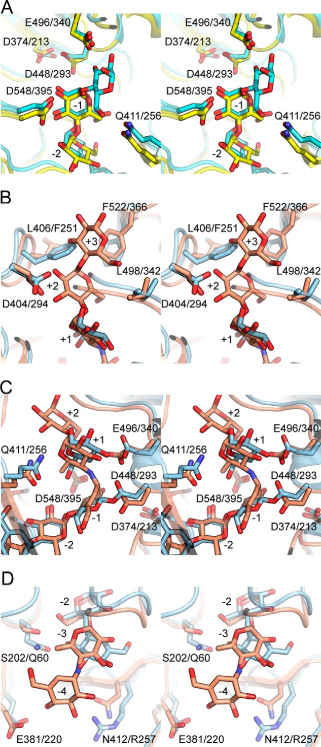 FIGURE 5.