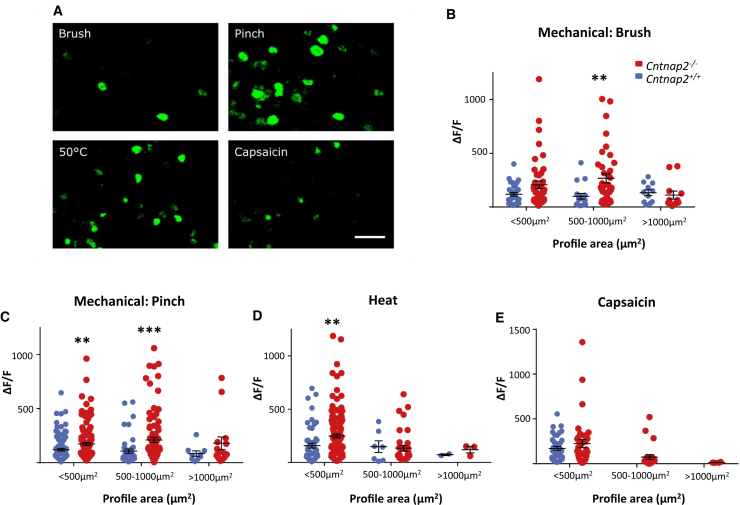 Figure 4