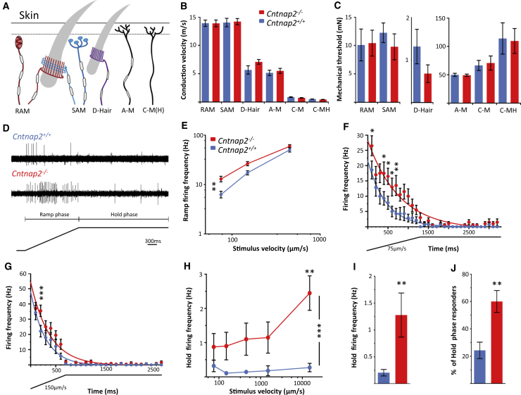 Figure 6