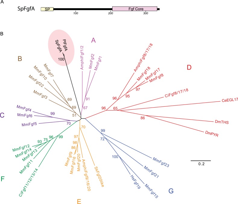 Figure 1—figure supplement 2.