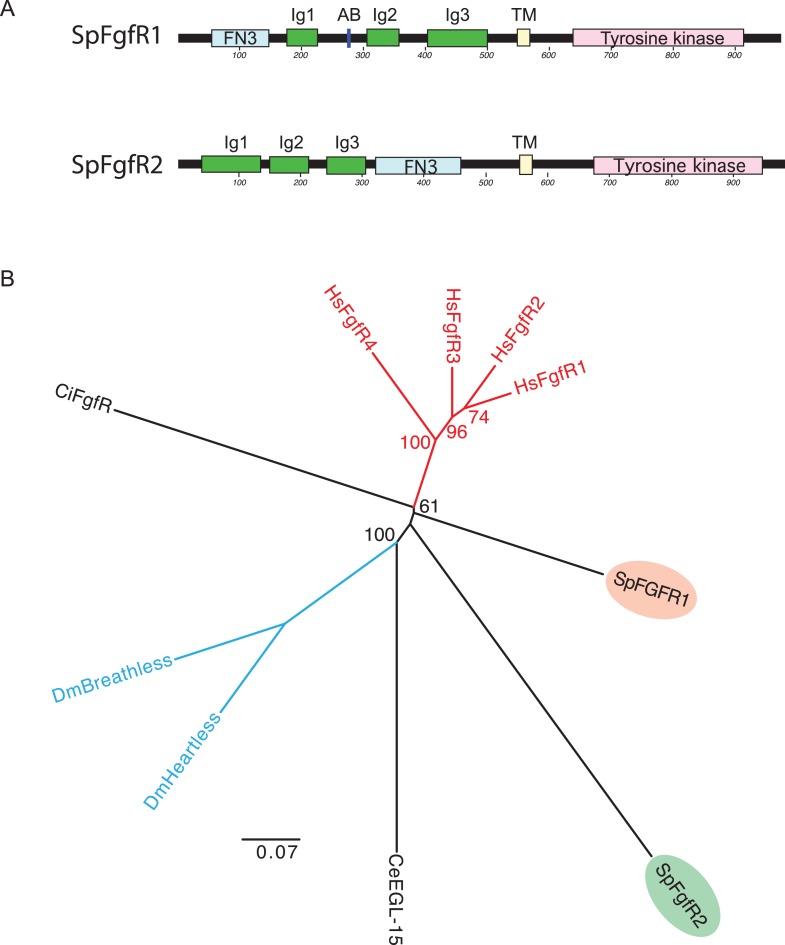 Figure 1—figure supplement 3.