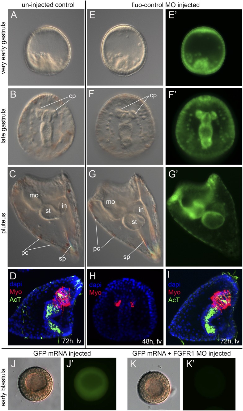 Figure 2—figure supplement 2.