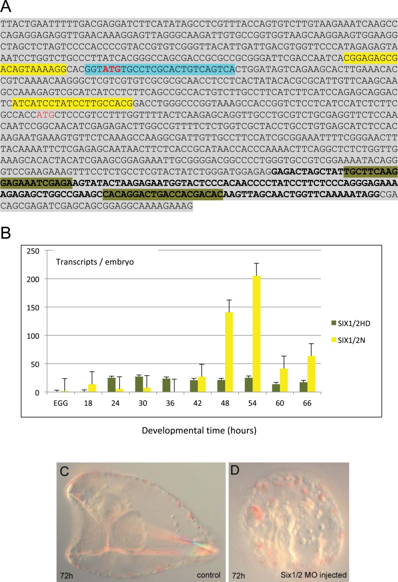 Figure 4—figure supplement 3.