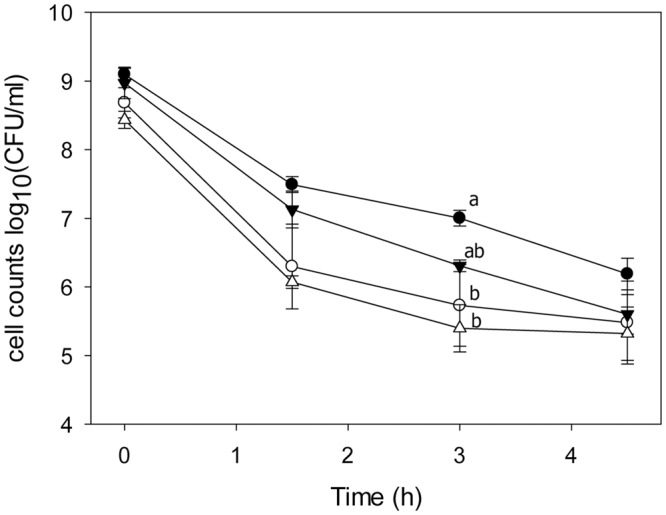 FIGURE 4