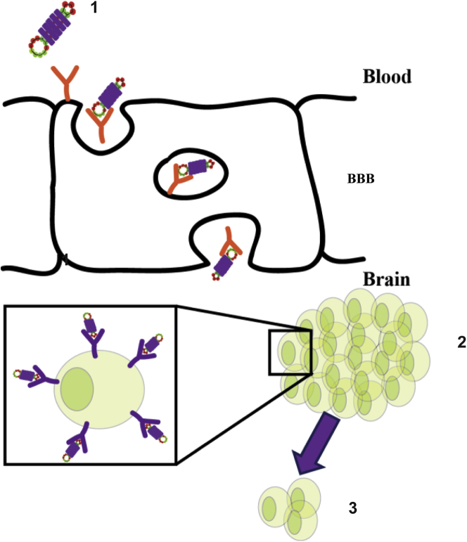 Figure 2