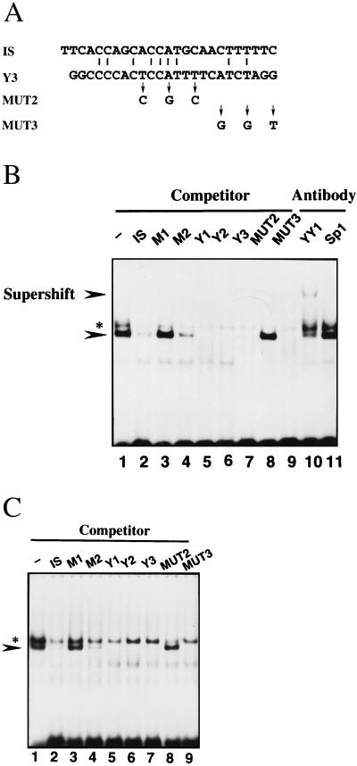 FIG. 6