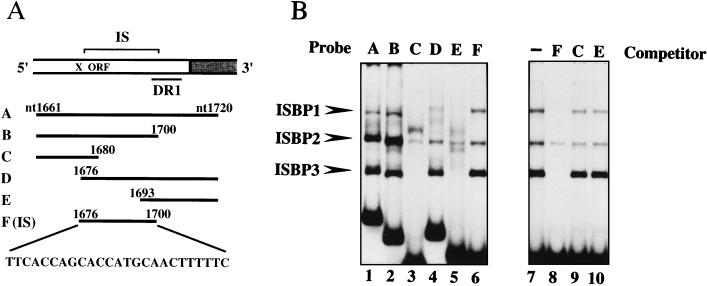 FIG. 1