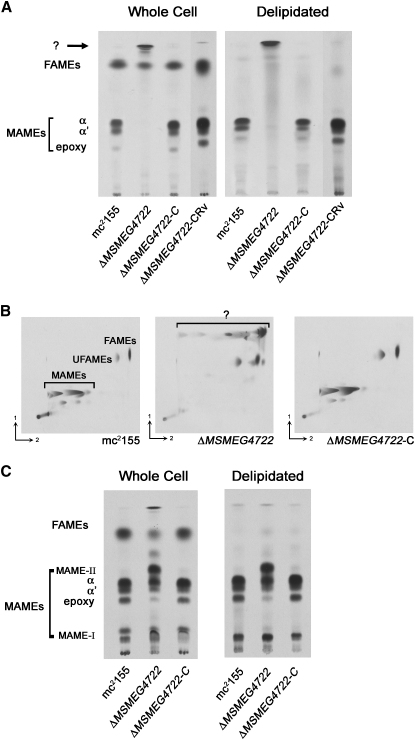 Figure 3