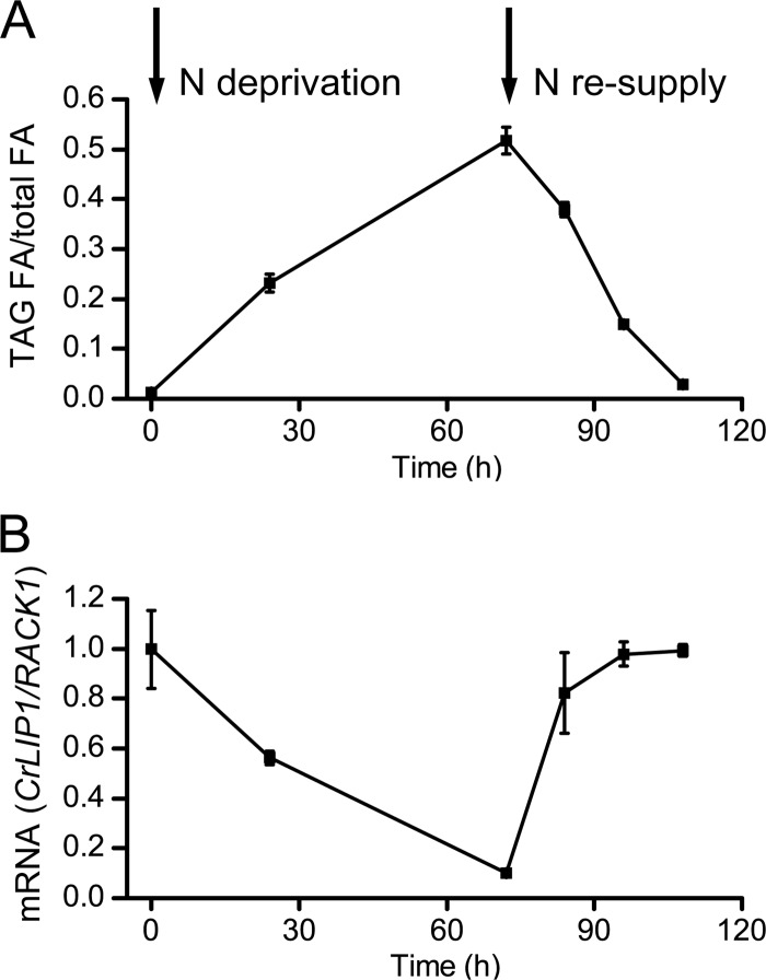 Fig 8