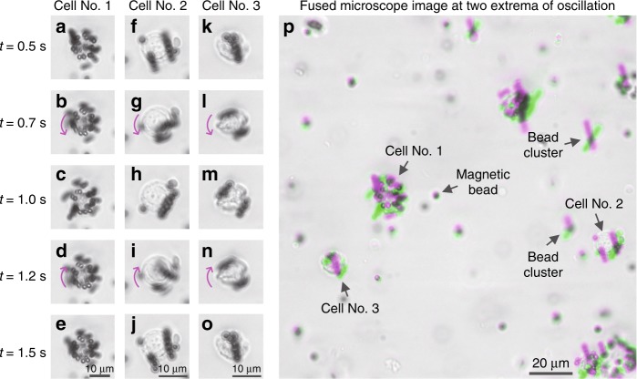 Fig. 3