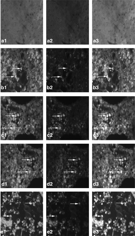 FIG. 6.