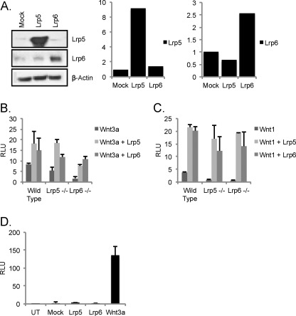 FIGURE 4.