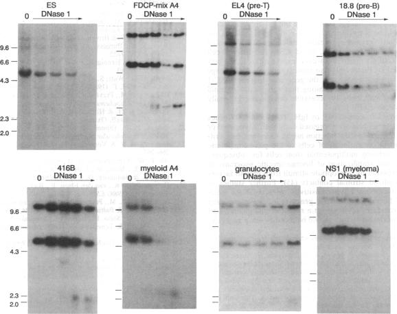 graphic file with name pnas01082-0273-a.jpg