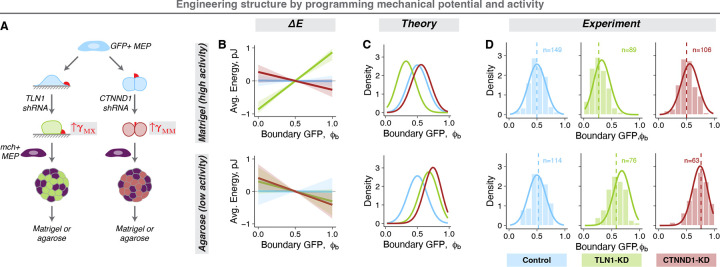 Figure 5: