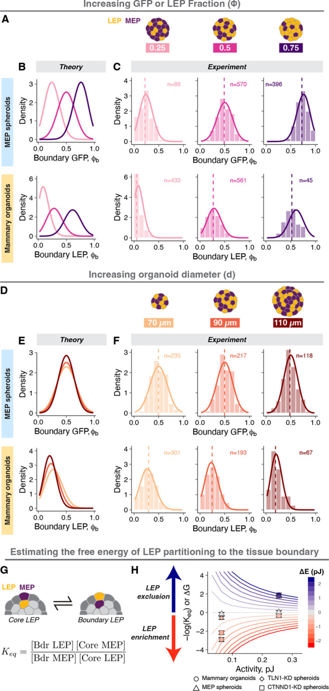 Figure 6: